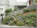 Entry after landscaping