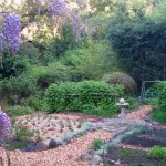 mulched garden