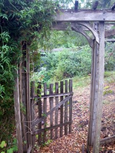 Redwood Picket Gate
