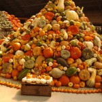 A very large harvest of squash