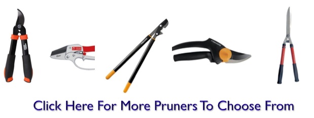 Pruners for edible landscaping