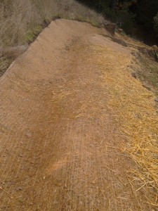 Vegetated swale