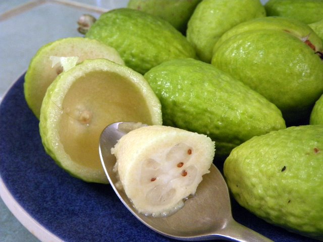 Scoop the fruit of the pineapple guava