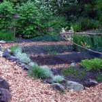 Raised beds