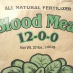 Blood Meal - The good, the bad and the really ugly 