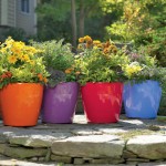 rolling self watering planters