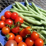 When to Harvest String Beans in Your Edible Landscape