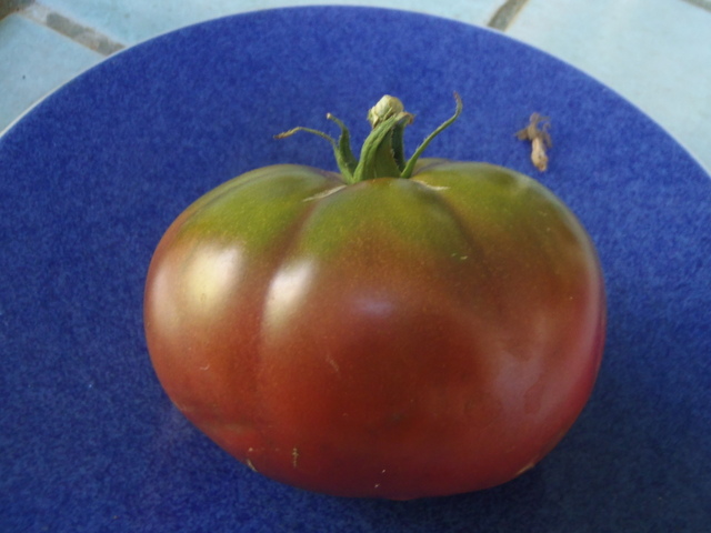 A ripe Brandywine tomato