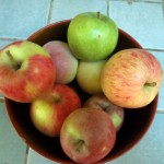 How to Preserve Apples from your Edible Landscape