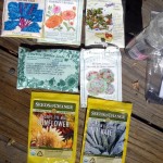 Is Last Year's Seed Still Good to Sow?