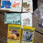 Seed Packets