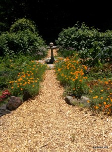 A simple bird bath can be an important design element as well as good for your birds.