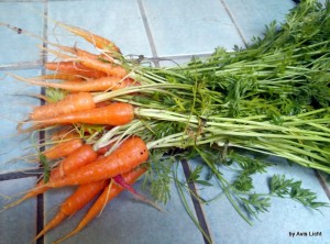 Baby carrots from Smart Pot