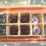 Seed sowing medium