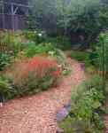 Get Started on Your Spring Garden in the Edible Landscape